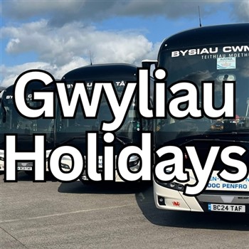 All Holidays